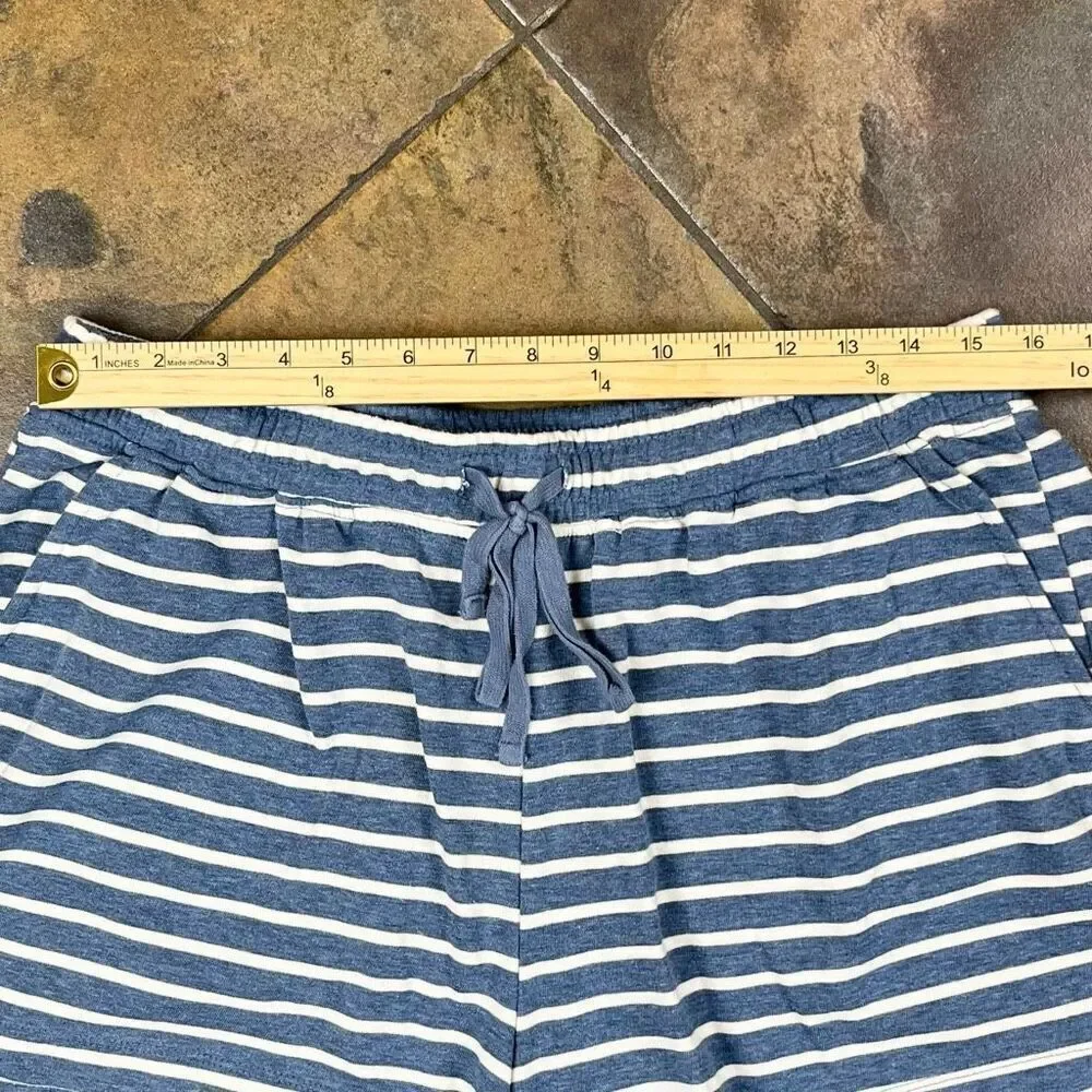 Banana Republic Blue White Striped Shorts Large